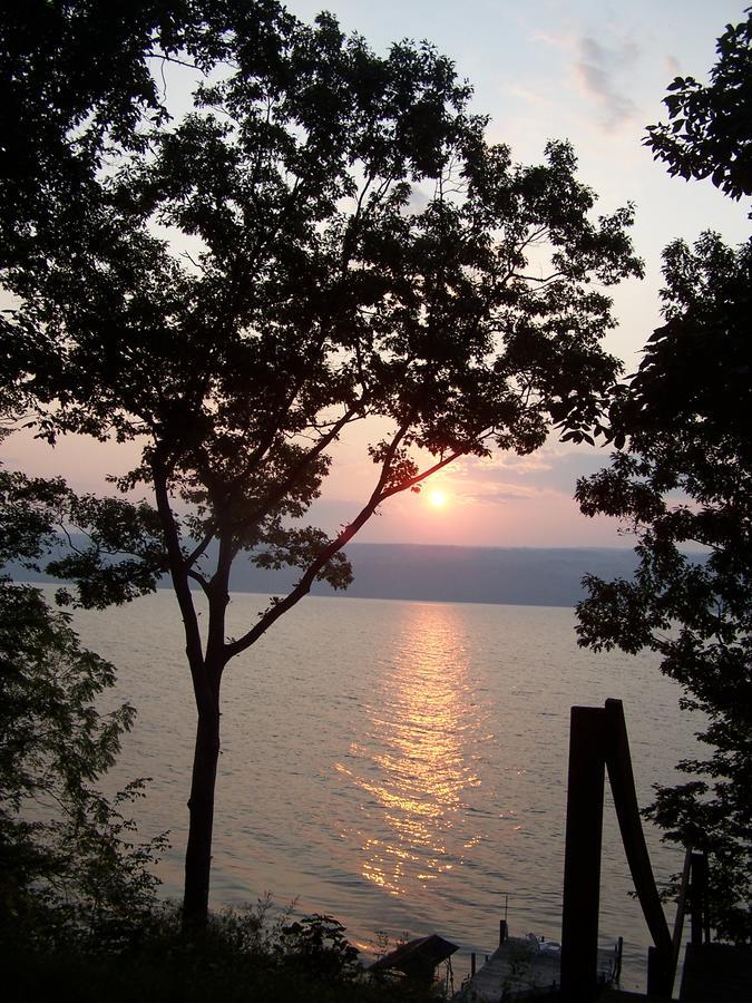Sunrise Landing Bed And Breakfast Dundee Eksteriør bilde